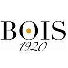 بویس 1920