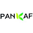 پنکاف