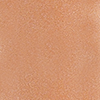 رژلب مایع شاین دار 103 