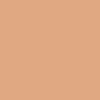 کرم پودر آرگان F11 