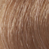 رنگ موی بژ شماره 8.31 