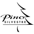 پینو سیلوستر