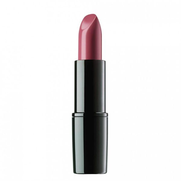 رژ لب پرفکت شماره 54 