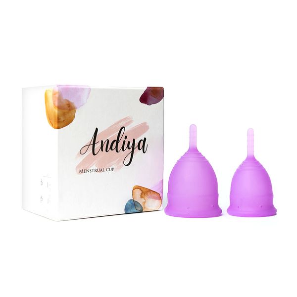 کاپ قاعدگی  مدل دابل (مجموعه 2 عددی سایز کوچک و متوسط) بنفش 