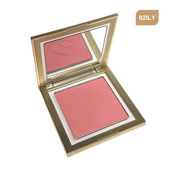 رژگونه پودری 02 