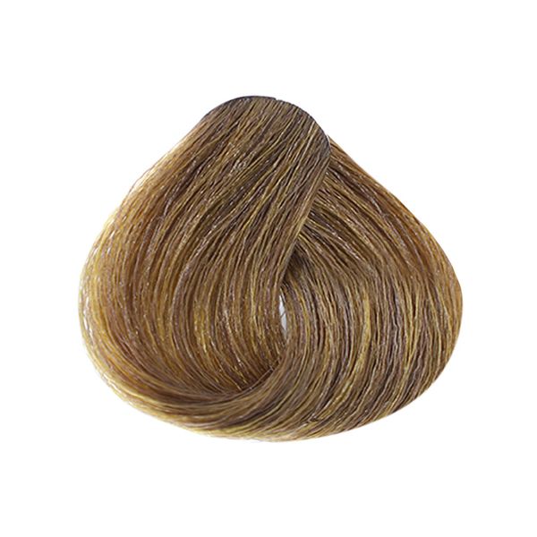 رنگ مو نچرال 6.0