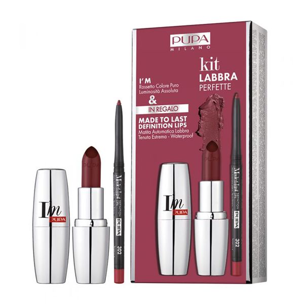 کیت رژ لب آیم شماره 309 