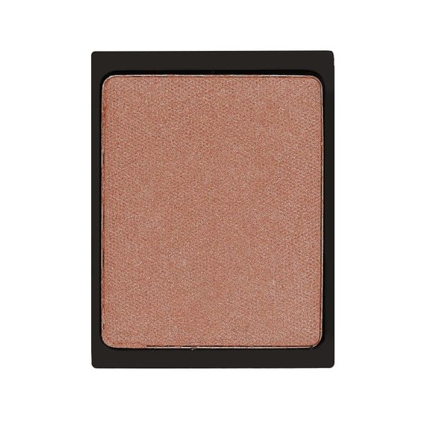 رژ گونه مگنتی 942