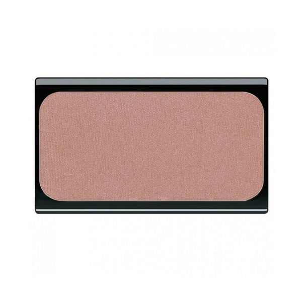 رژ گونه شماره 49