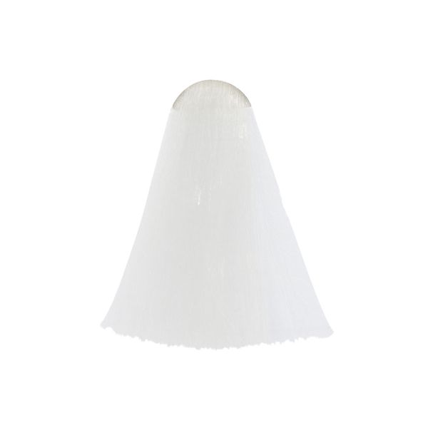 شامپو رنگساژ حجم 300 میل 000 - سفید