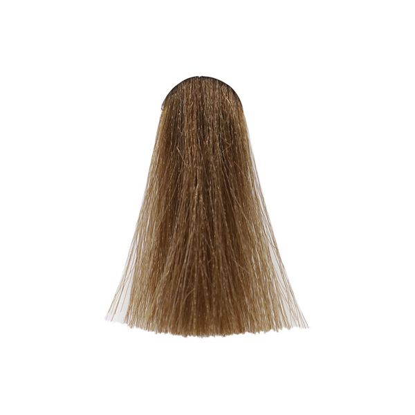 شامپو رنگساژ حجم 300 میل 6.08 - تنباکویی