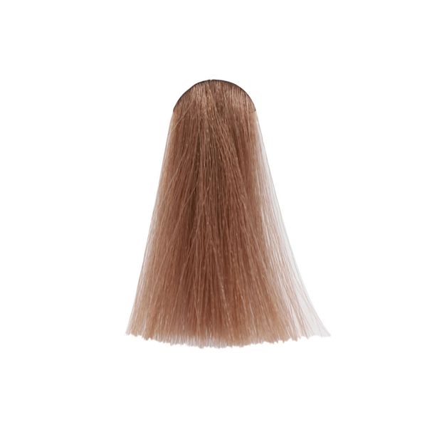 شامپو رنگساژ حجم 300 میل 8.73 - موکا