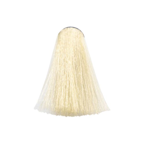 رنگ مو بژ 10.31