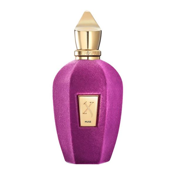 ادوپرفیوم وی کالکشن میوز 100  میل 