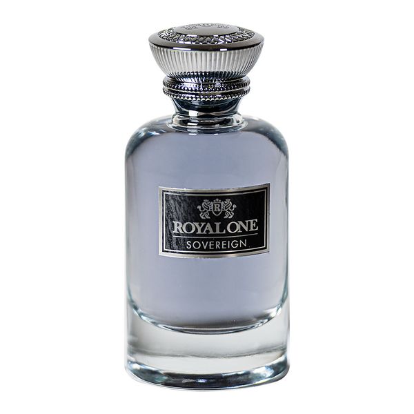 ادو پرفیوم مردانه ساورین 100  میل 